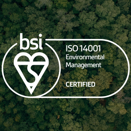 bsi iso 14001 logo on forest background